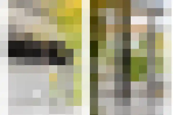 Veenerf 36 Nijkerkerveen thumbnail 24