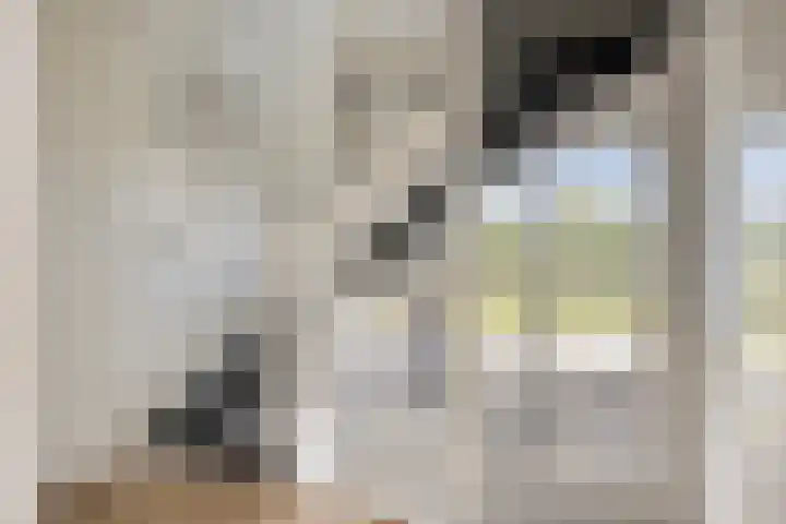 Veenerf 36 Nijkerkerveen thumbnail 25