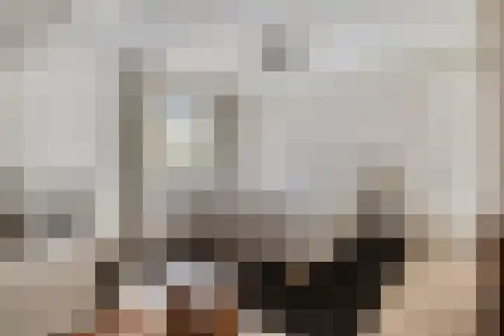Veenerf 36 Nijkerkerveen thumbnail 26