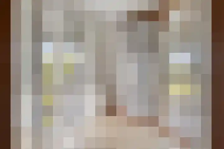 Veenerf 36 Nijkerkerveen thumbnail 30