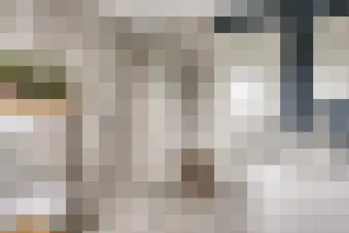 Veenerf 36 Nijkerkerveen thumbnail 32