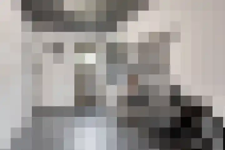 Veenerf 36 Nijkerkerveen thumbnail 35