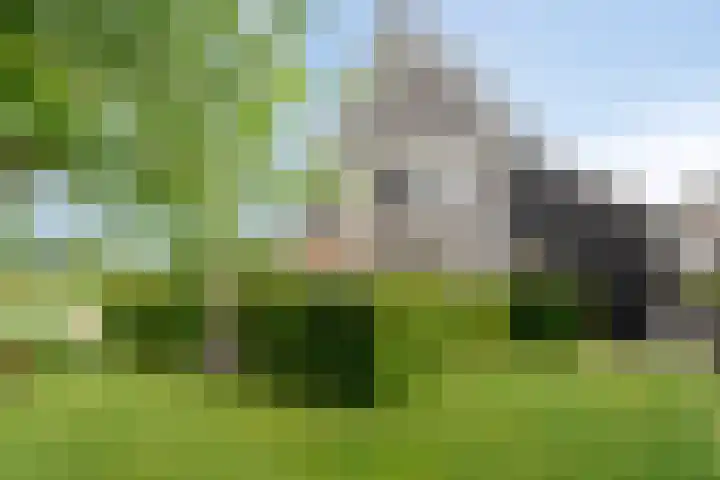 Veenerf 36 Nijkerkerveen thumbnail 36