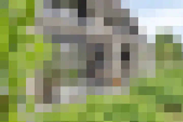 Veenerf 36 Nijkerkerveen thumbnail 37