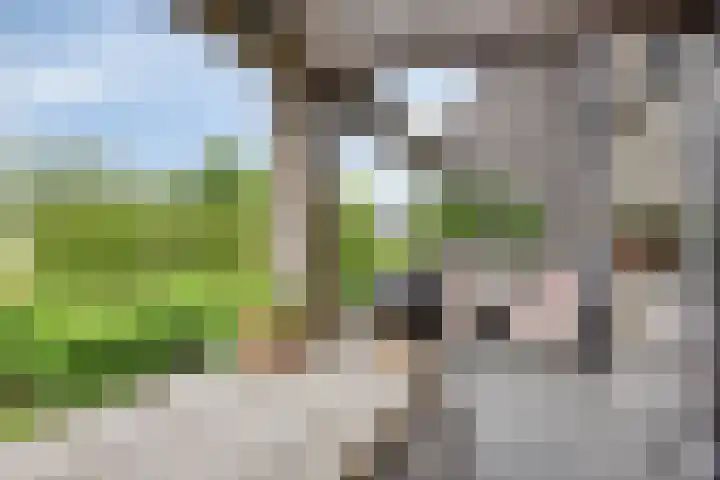 Veenerf 36 Nijkerkerveen thumbnail 38