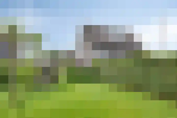 Veenerf 36 Nijkerkerveen thumbnail 39