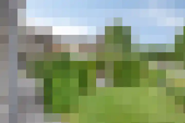 Veenerf 36 Nijkerkerveen thumbnail 40