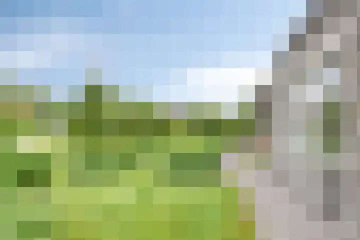 Veenerf 36 Nijkerkerveen thumbnail 41