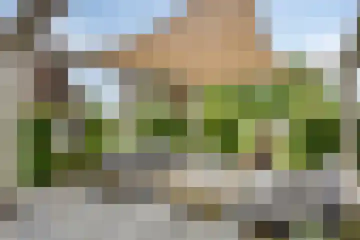 Veenerf 36 Nijkerkerveen thumbnail 42