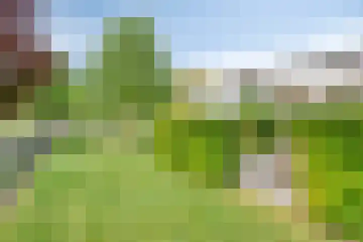 Veenerf 36 Nijkerkerveen thumbnail 43