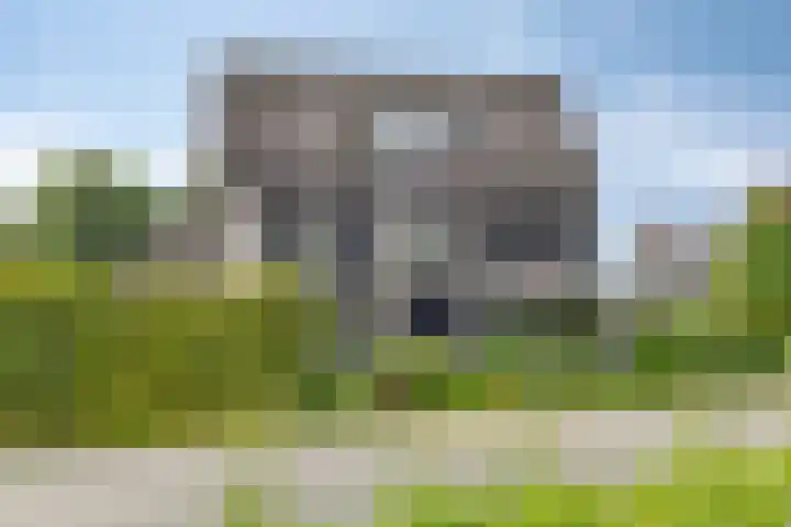Veenerf 36 Nijkerkerveen thumbnail 44