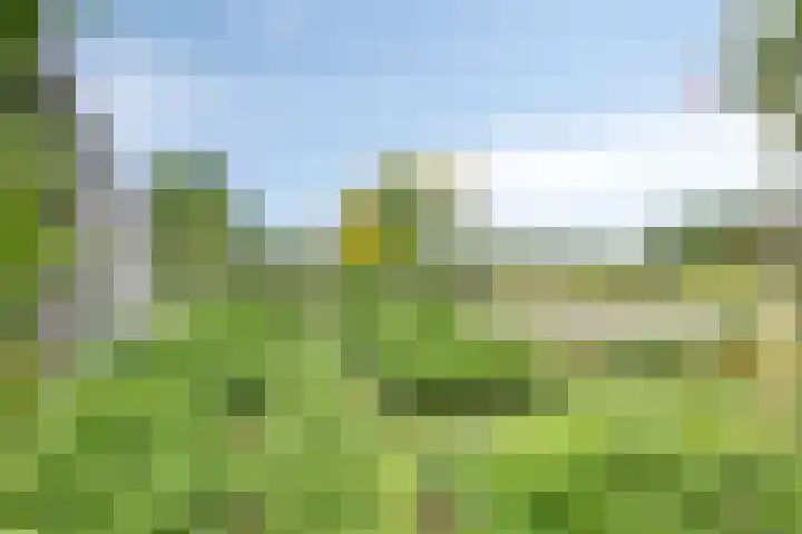 Veenerf 36 Nijkerkerveen thumbnail 45