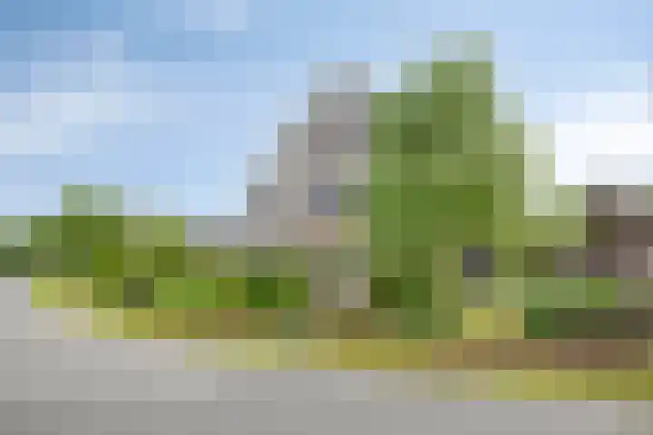 Veenerf 36 Nijkerkerveen thumbnail 46