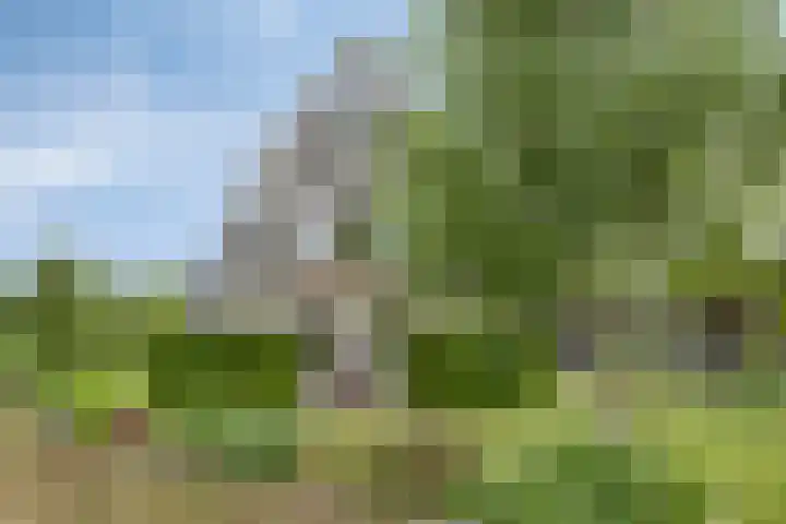 Veenerf 36 Nijkerkerveen thumbnail 47