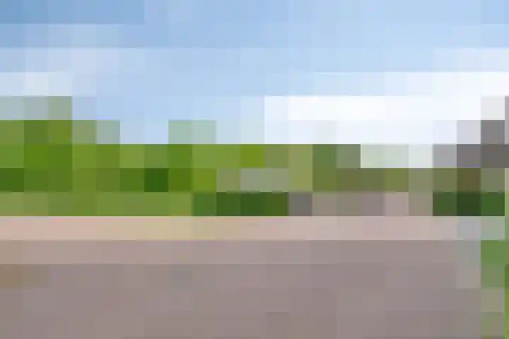 Veenerf 36 Nijkerkerveen thumbnail 49