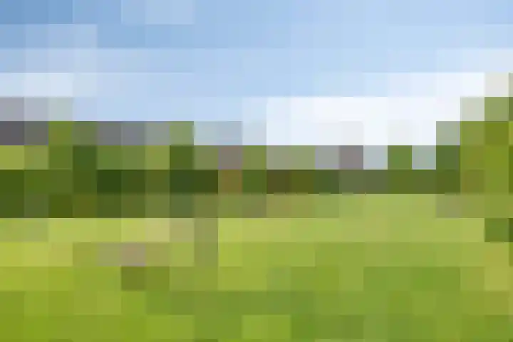 Veenerf 36 Nijkerkerveen thumbnail 50