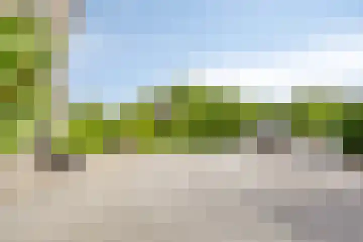 Veenerf 36 Nijkerkerveen thumbnail 8