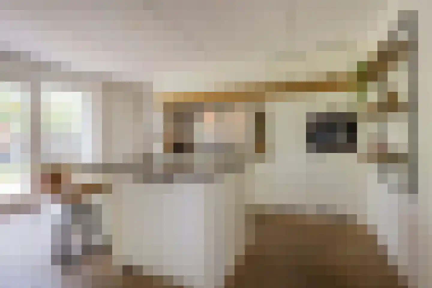 Veenerf 4 Nijkerkerveen thumbnail 13