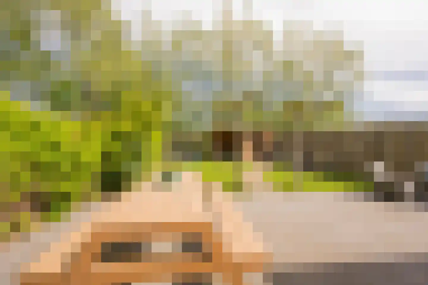 Veenerf 4 Nijkerkerveen thumbnail 16