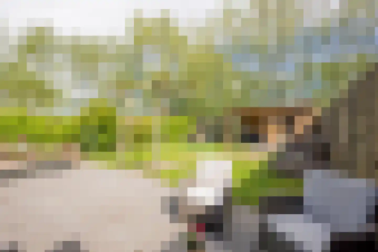 Veenerf 4 Nijkerkerveen thumbnail 17