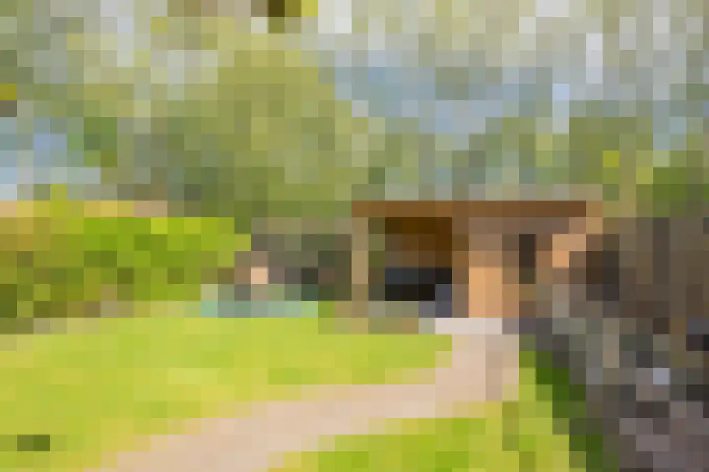Veenerf 4 Nijkerkerveen thumbnail 19
