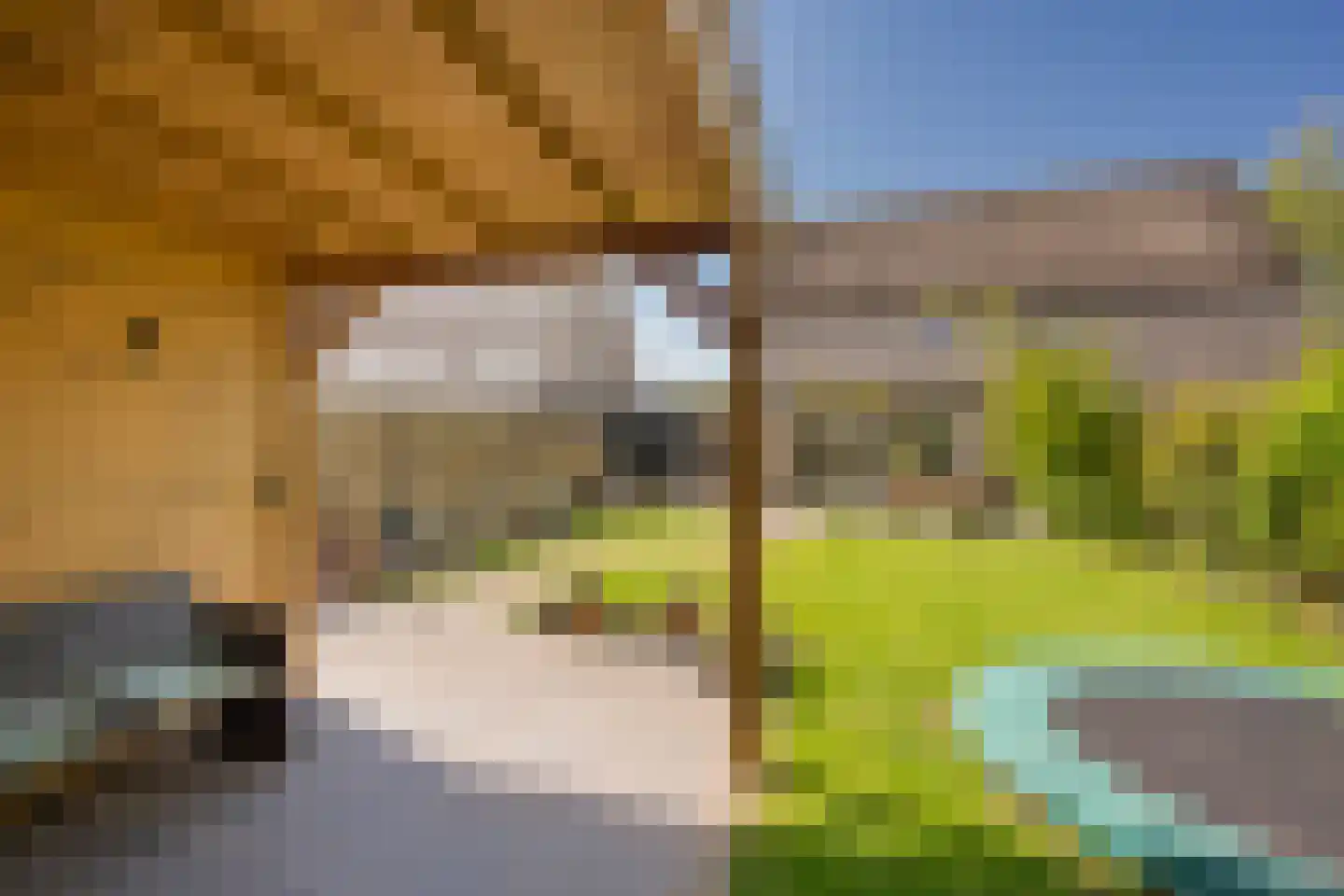 Veenerf 4 Nijkerkerveen thumbnail 20
