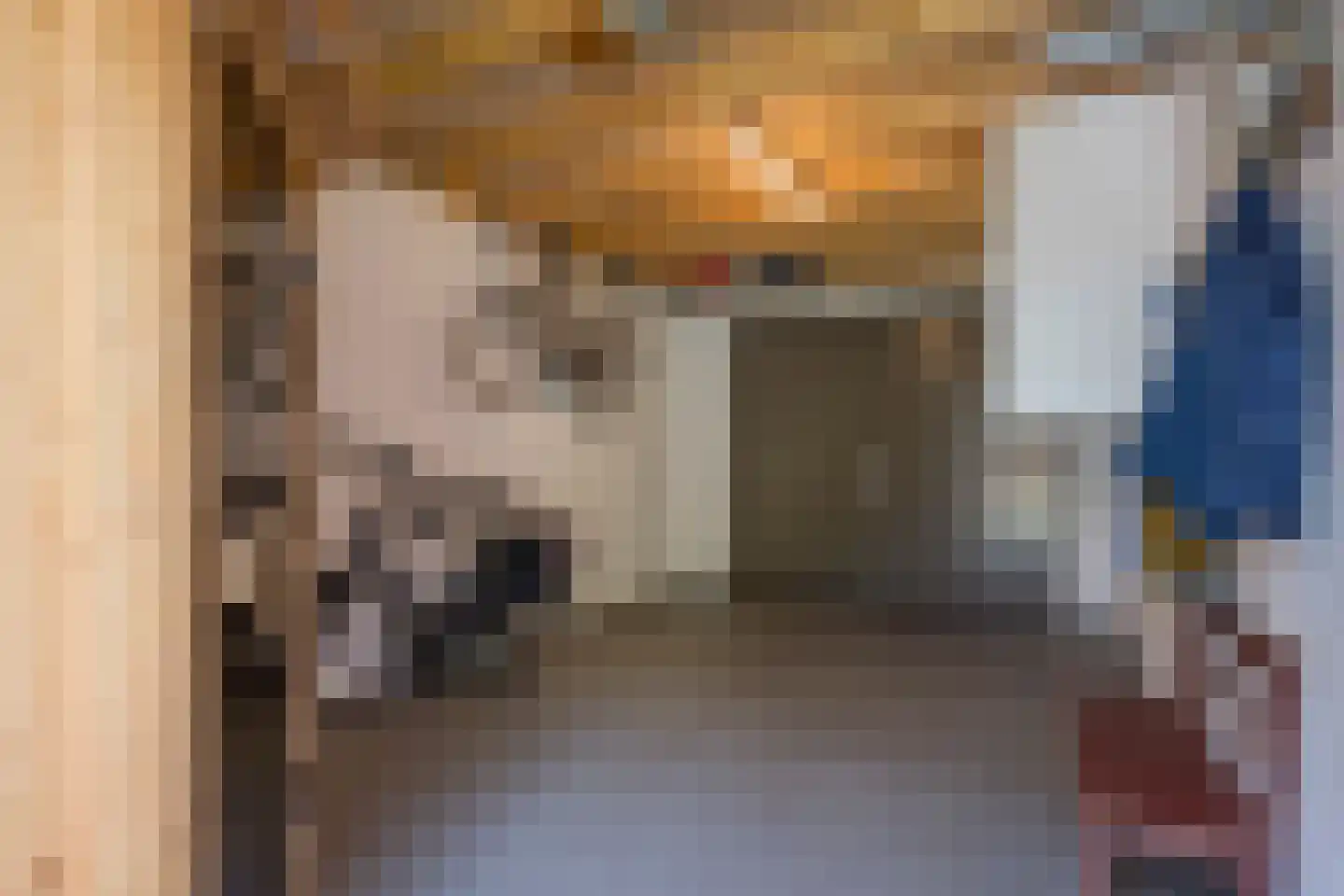 Veenerf 4 Nijkerkerveen thumbnail 39
