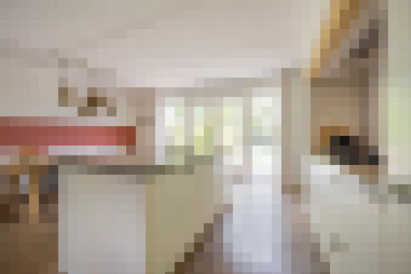Veenerf 4 Nijkerkerveen thumbnail 4