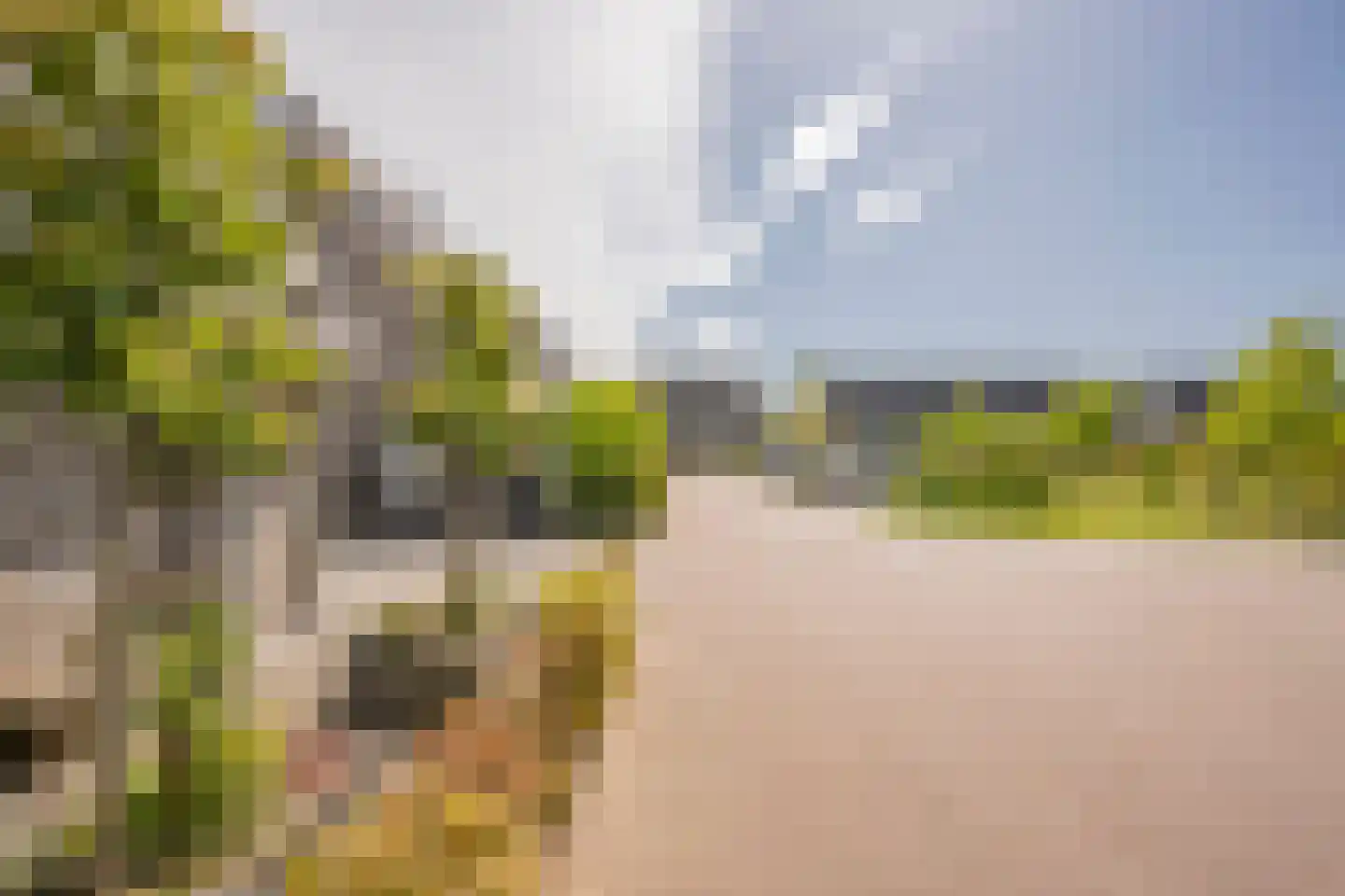 Veenerf 4 Nijkerkerveen thumbnail 44