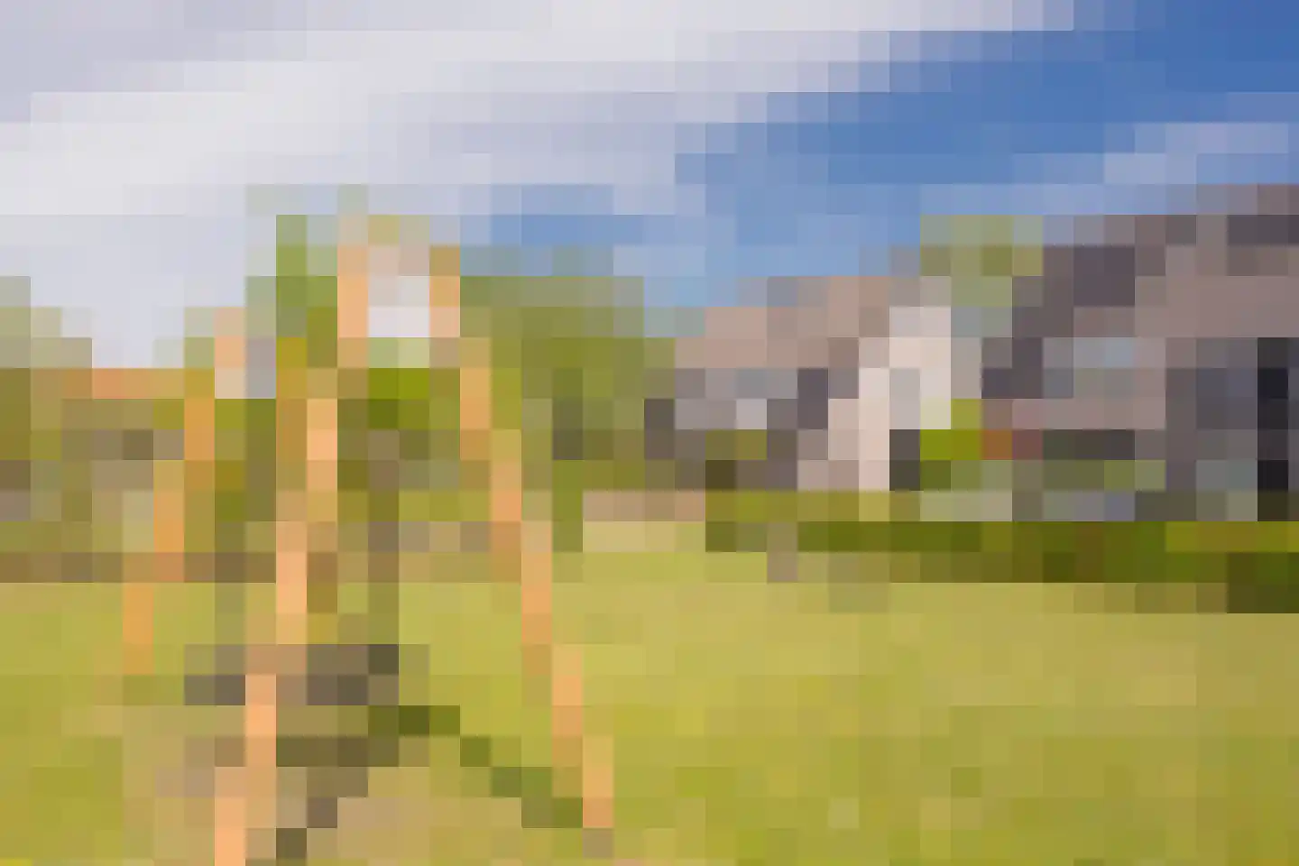 Veenerf 4 Nijkerkerveen thumbnail 48