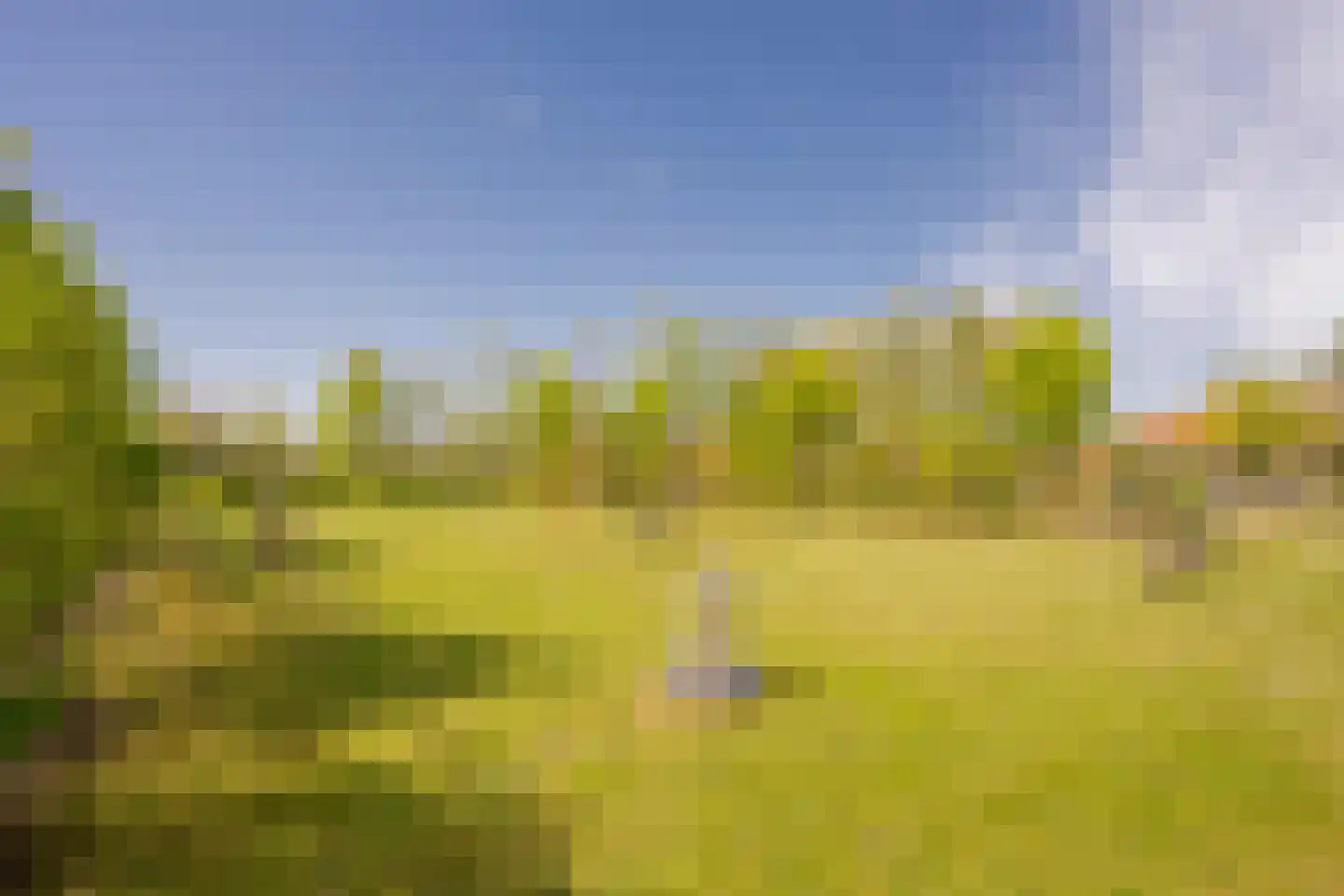 Veenerf 4 Nijkerkerveen thumbnail 49