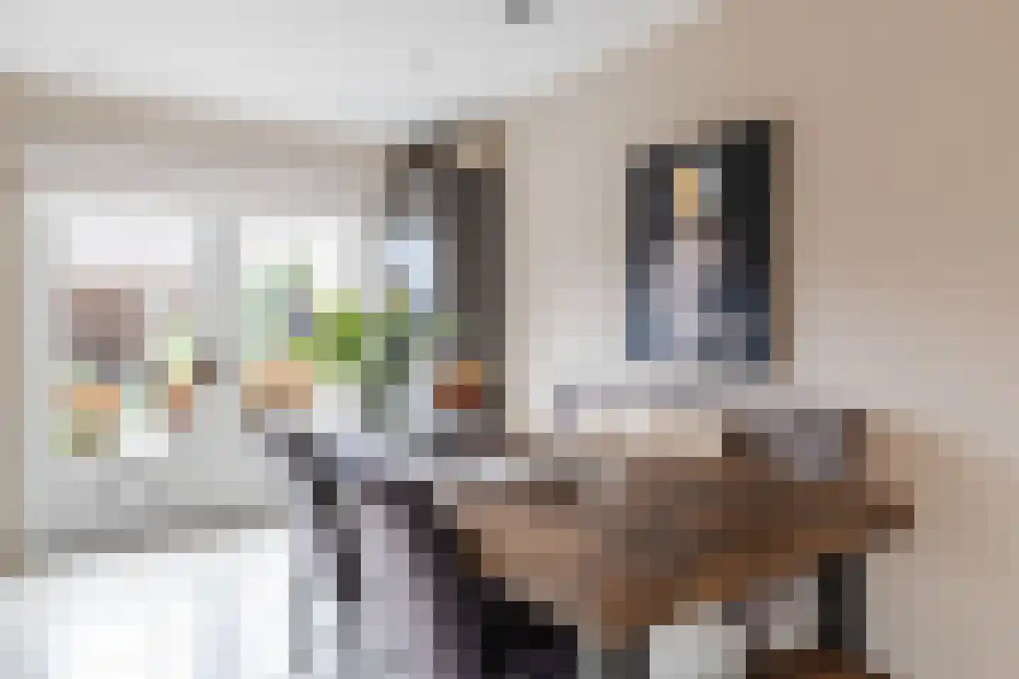 Veenestraat 53 Bunschoten-Spakenburg thumbnail 12