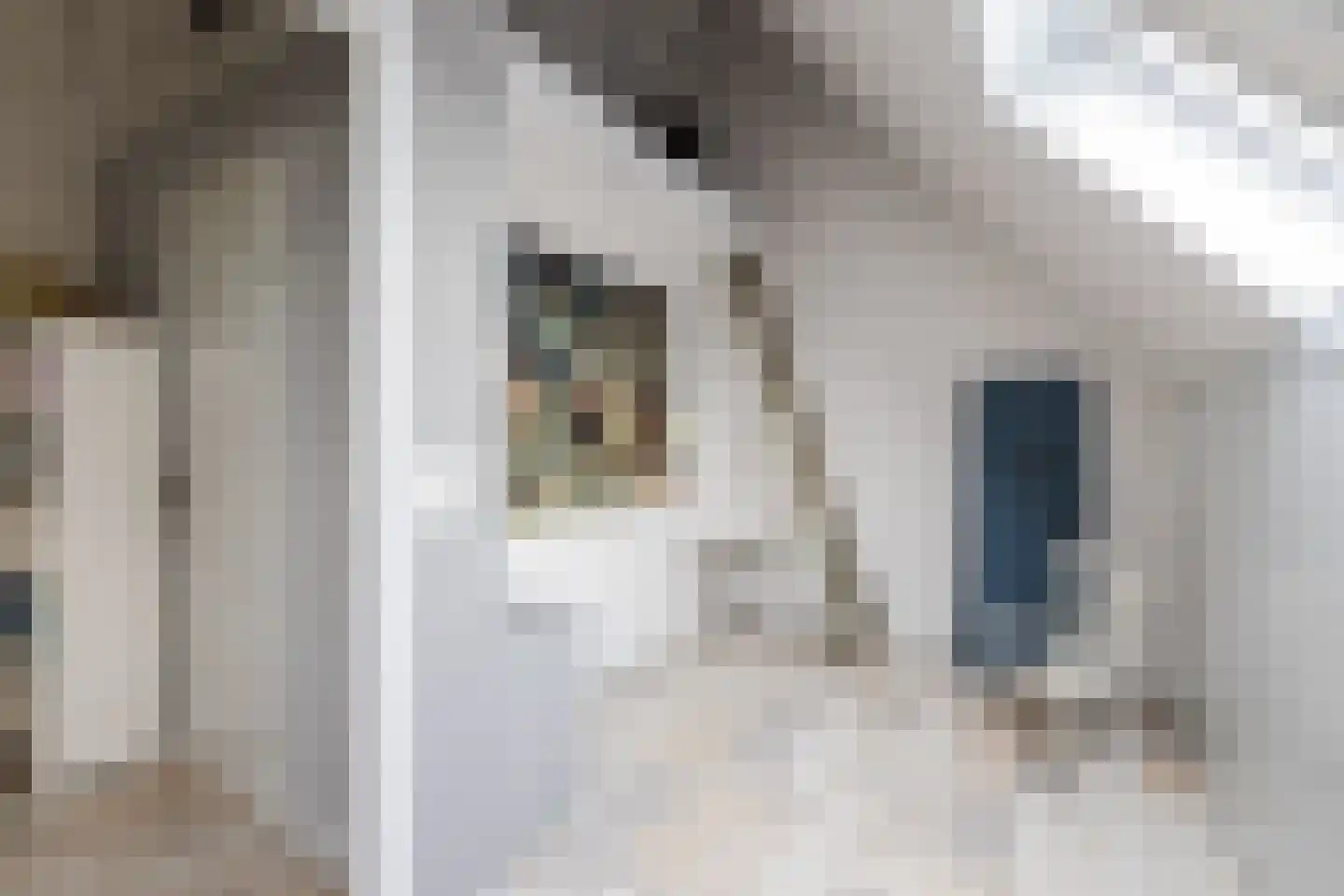 Veenestraat 53 Bunschoten-Spakenburg thumbnail 32