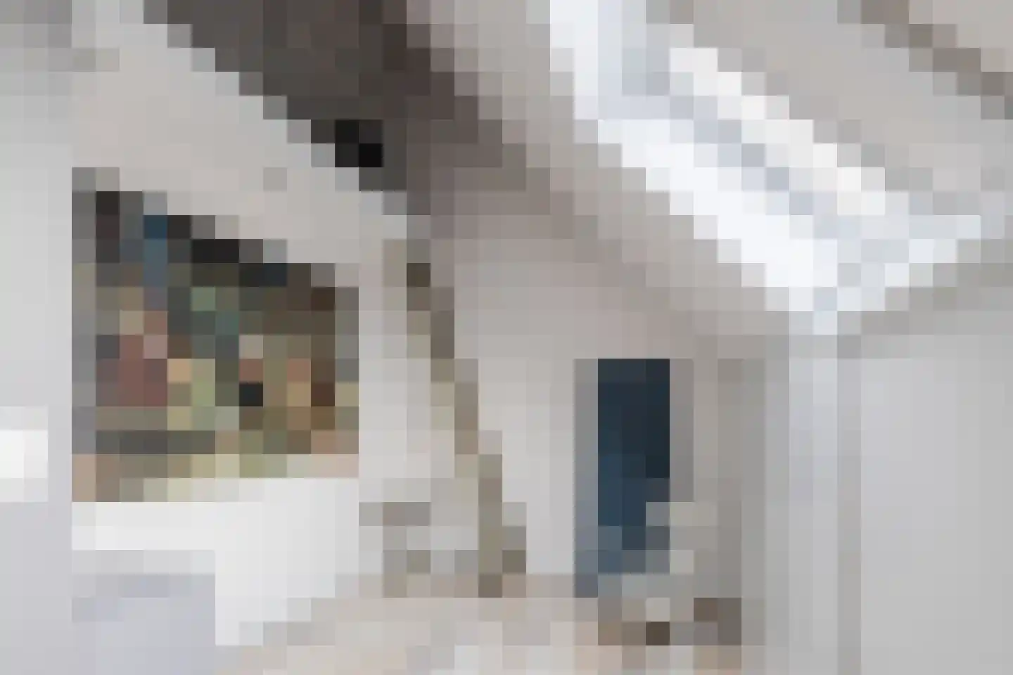 Veenestraat 53 Bunschoten-Spakenburg thumbnail 33