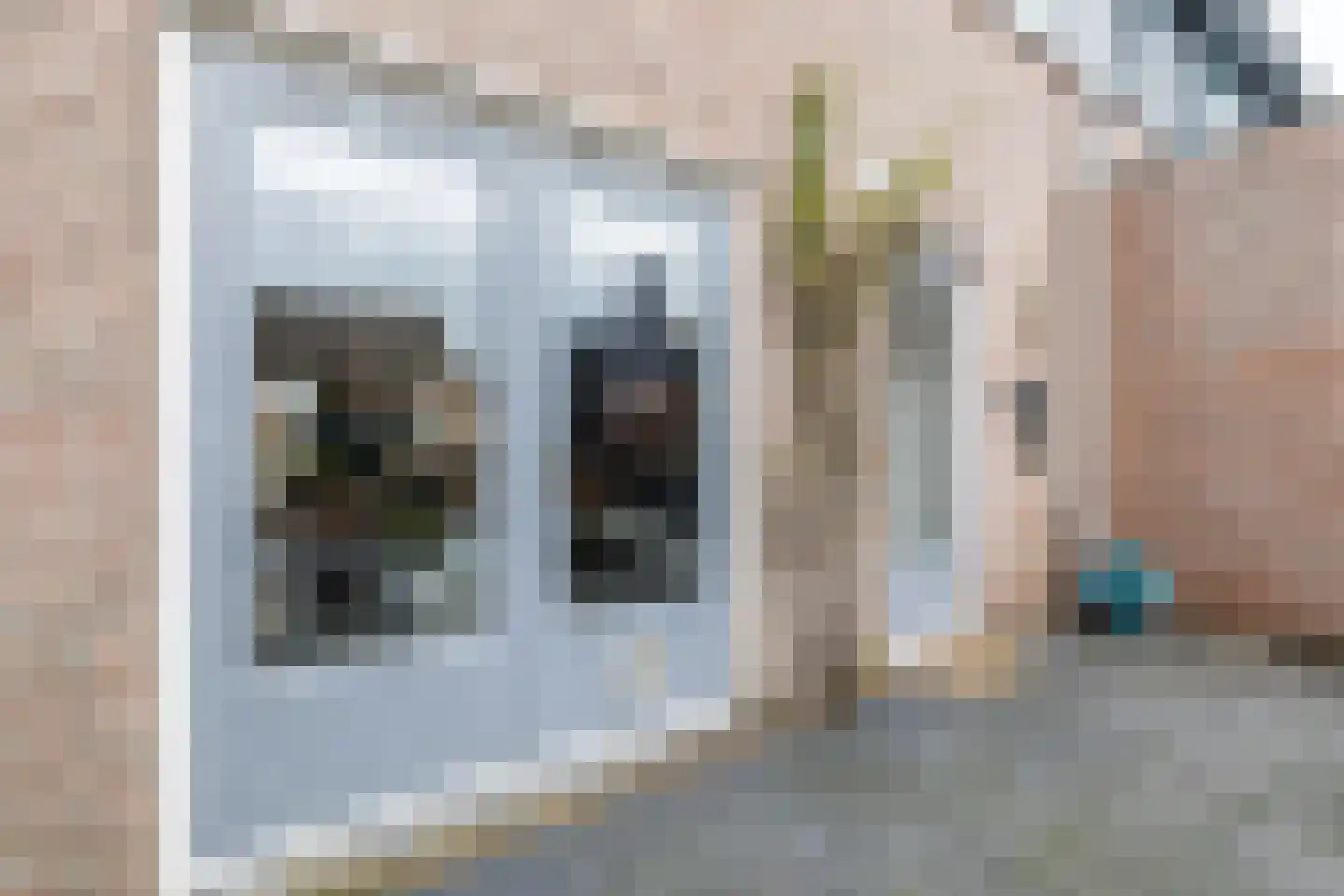 Veenestraat 53 Bunschoten-Spakenburg thumbnail 39