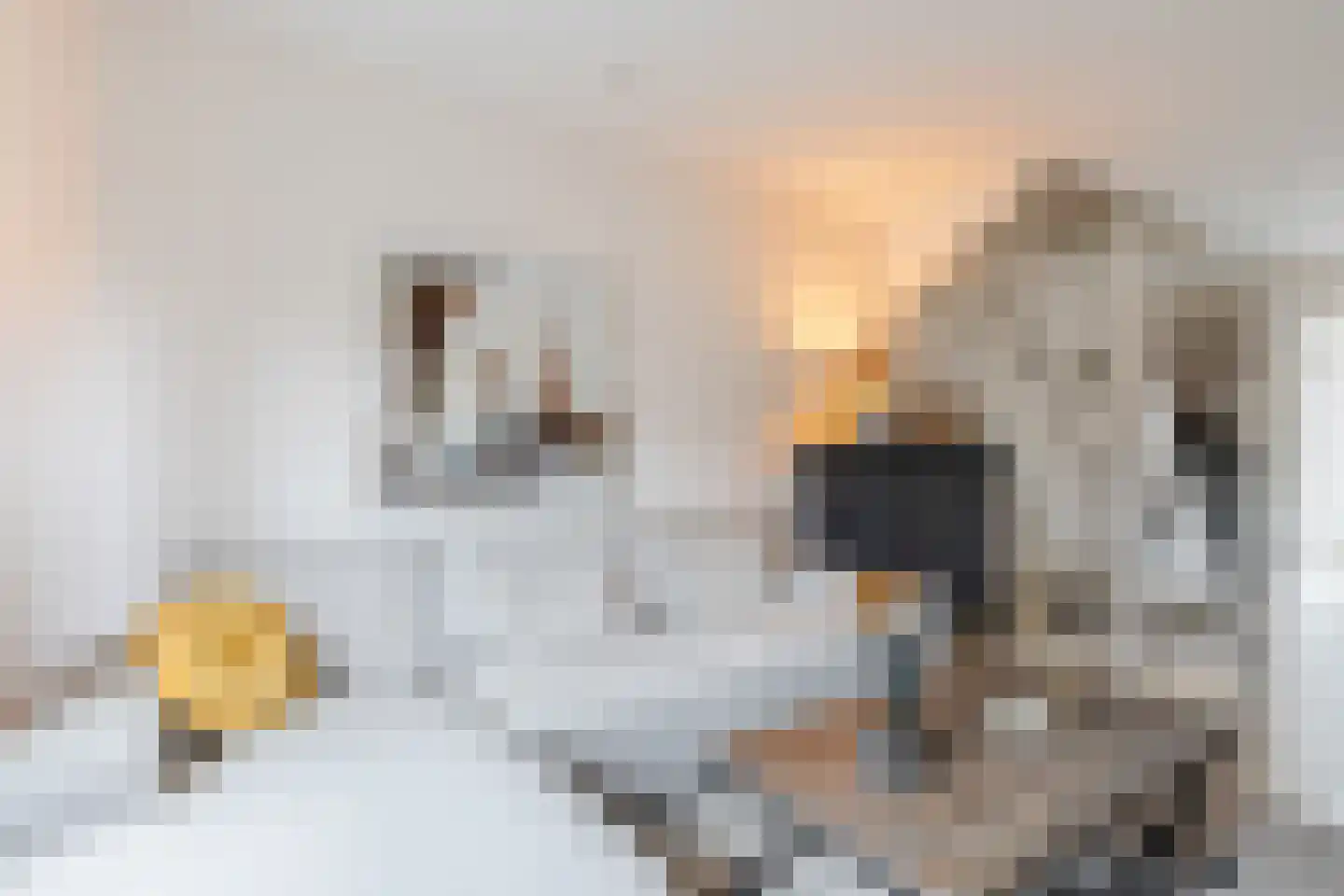 Veenestraat 53 Bunschoten-Spakenburg thumbnail 4