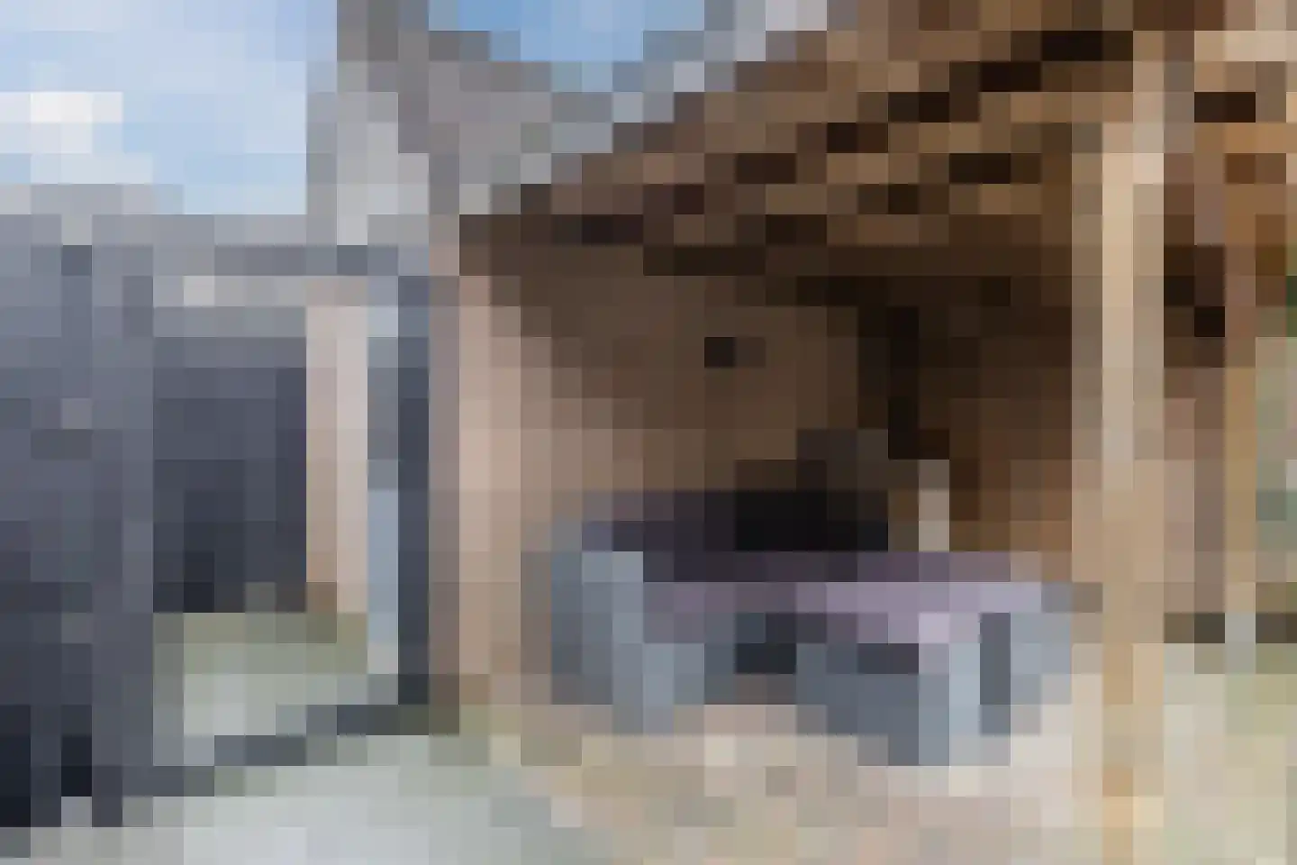 Veenestraat 53 Bunschoten-Spakenburg thumbnail 40