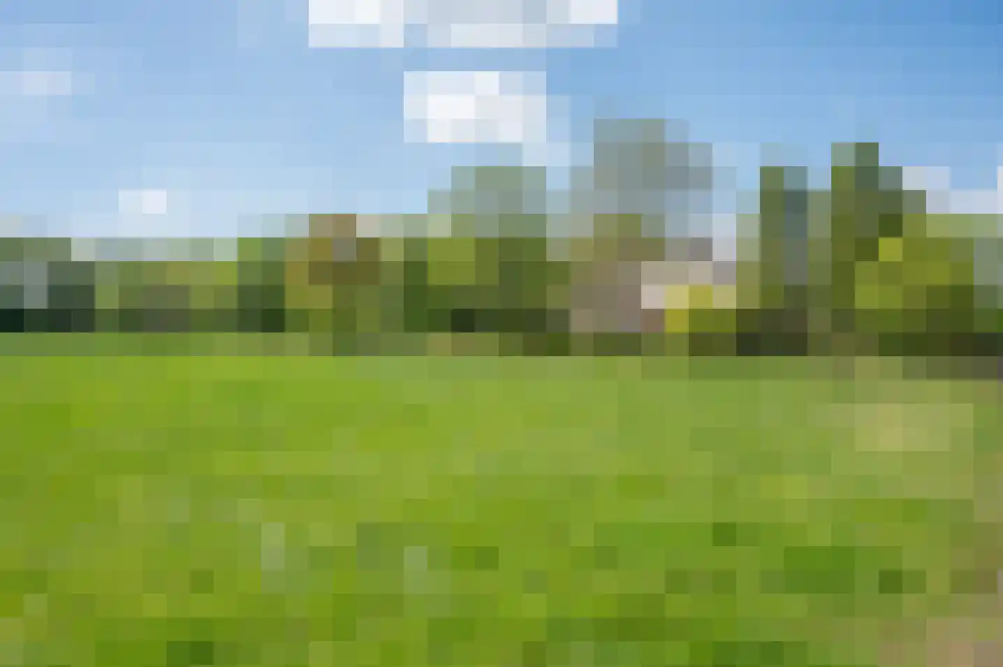 Veengoot 8 Halle thumbnail 11