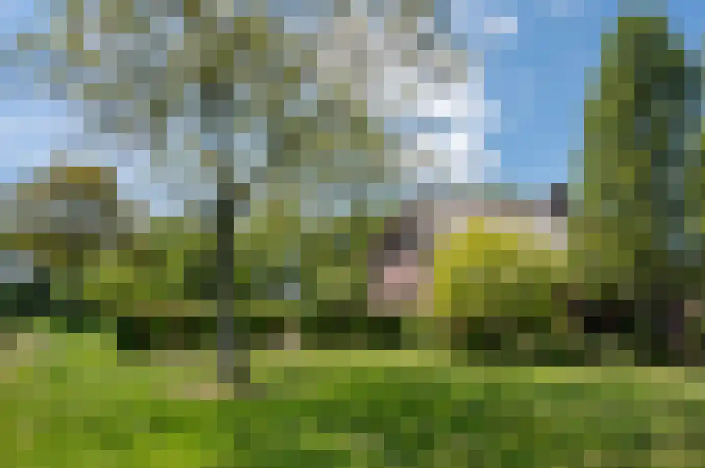 Veengoot 8 Halle thumbnail 13