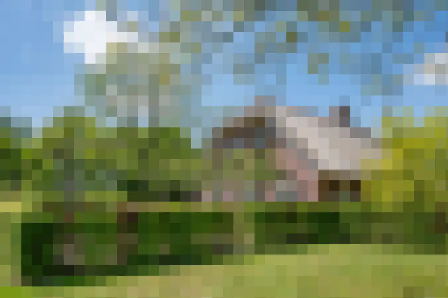 Veengoot 8 Halle thumbnail 14