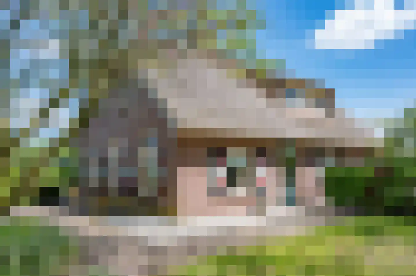 Veengoot 8 Halle thumbnail 19