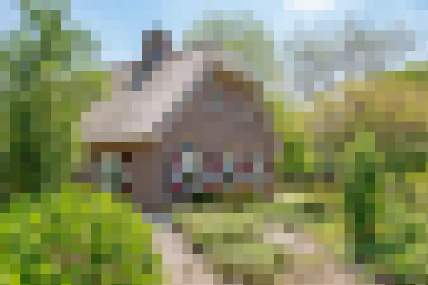 Veengoot 8 Halle thumbnail 21