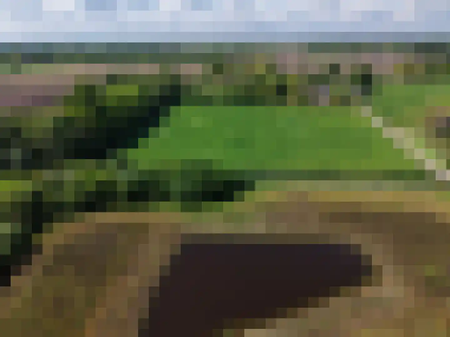 Veengoot 8 Halle thumbnail 4