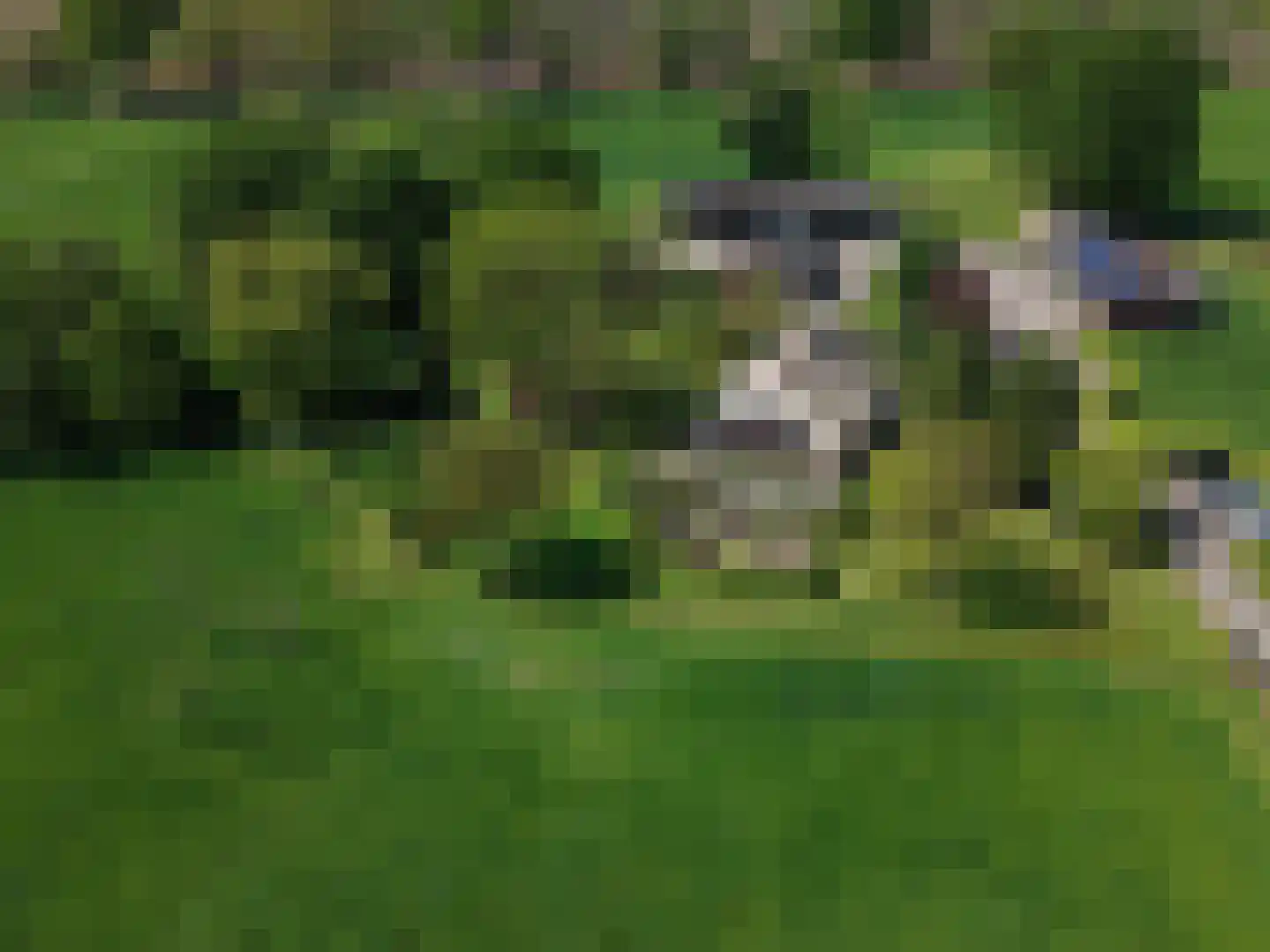 Veengoot 8 Halle thumbnail 5