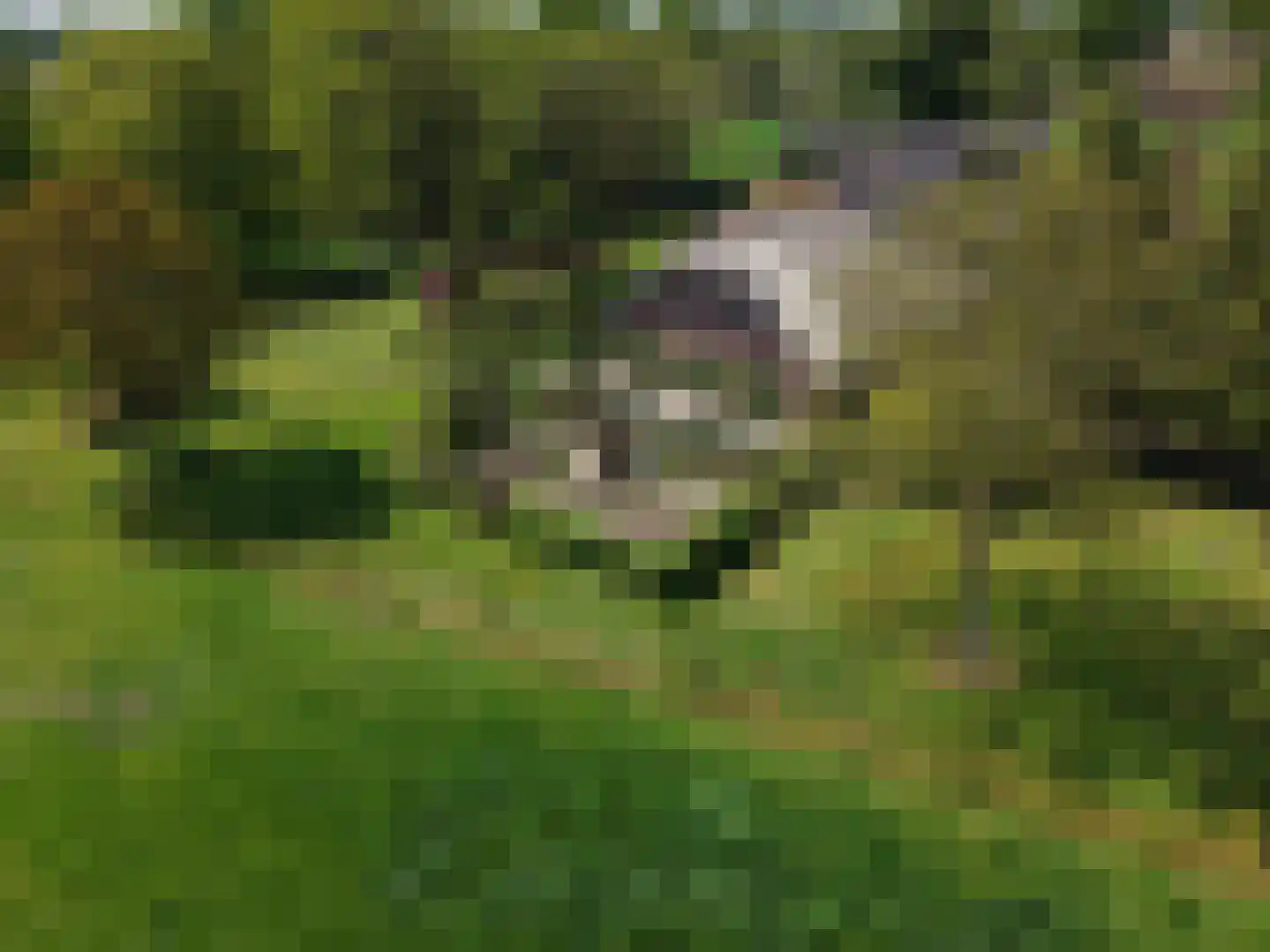 Veengoot 8 Halle thumbnail 6