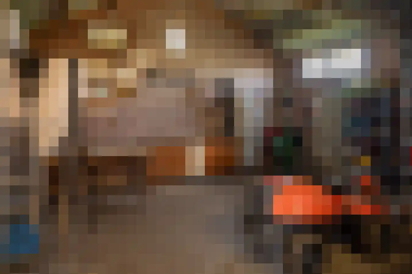 Veengoot 8 Halle thumbnail 68