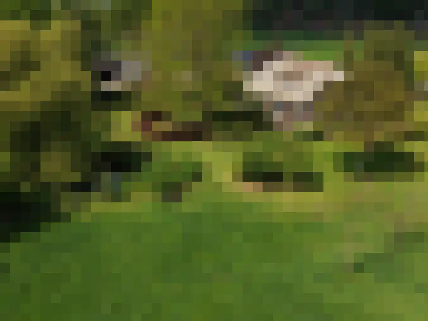 Veengoot 8 Halle thumbnail 7