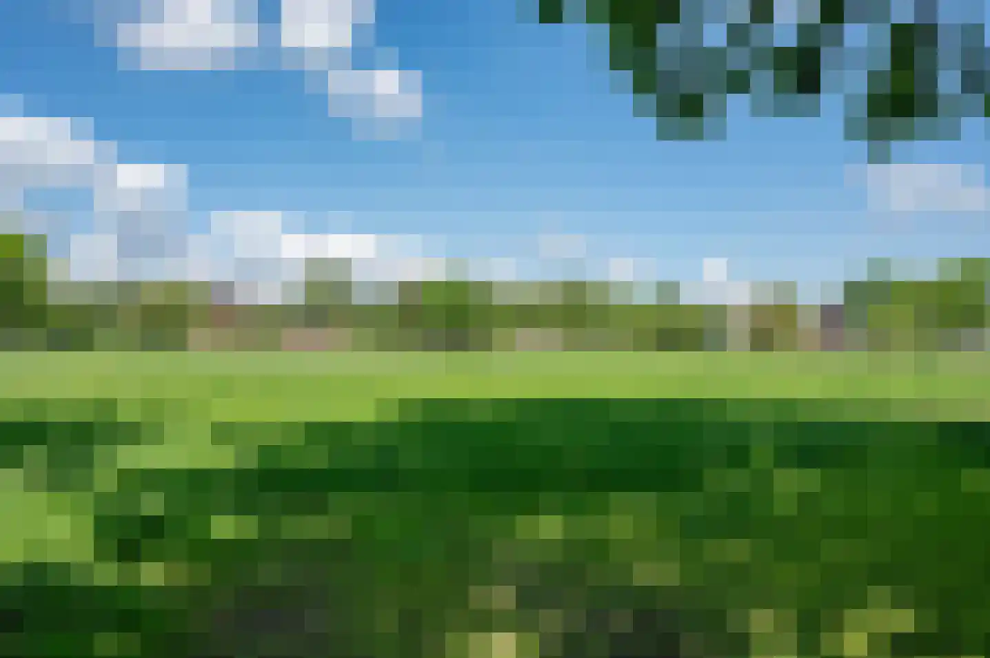 Veengoot 8 Halle thumbnail 70