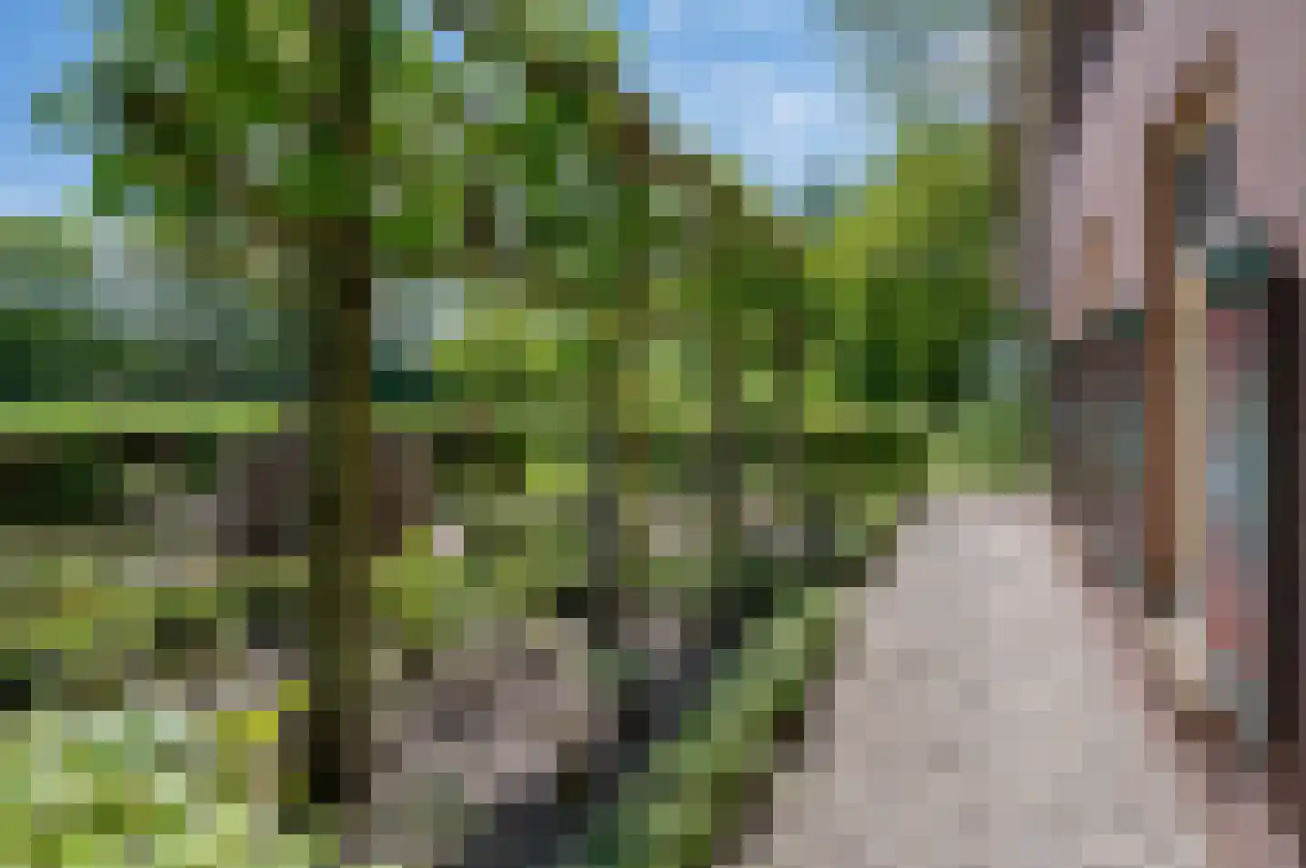Veengoot 8 Halle thumbnail 74