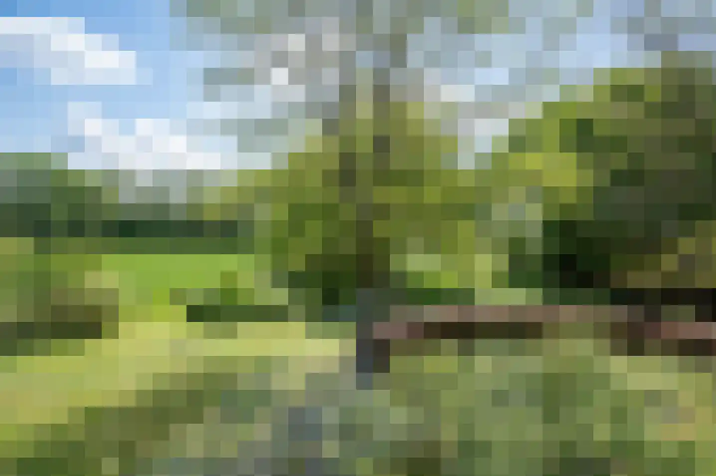 Veengoot 8 Halle thumbnail 75